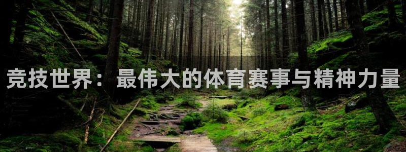 yy易游官方正版app娱乐40996：竞技世界：最伟