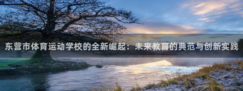yy易游官方正版app集团简介：东营市体育运动学校的全新崛起