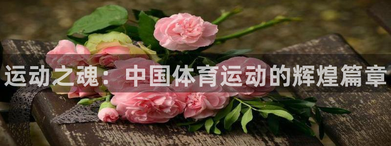 yy易游官网下载平台注册：运动之魂：中国体育运动的辉