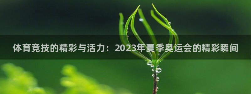 yy易游官网下载注册：体育竞技的精彩与活力：2023年夏季奥