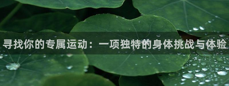yy易游官方正版app集团官网网址：寻找你的专属运动