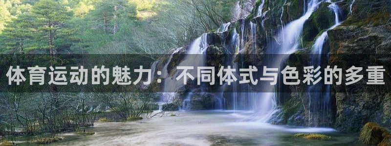 yy易游官网下载招商电话地址是多少：体育运动的魅力：