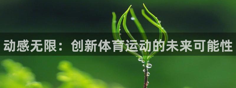 yy易游官方集团官网：动感无限：创新体育运动的未来可能性