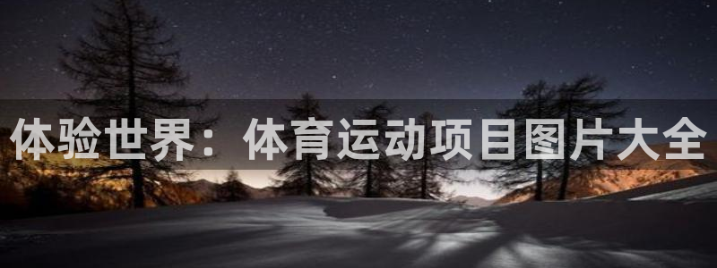 yy易游官网下载招商电话号码查询：体验世界：体育运动