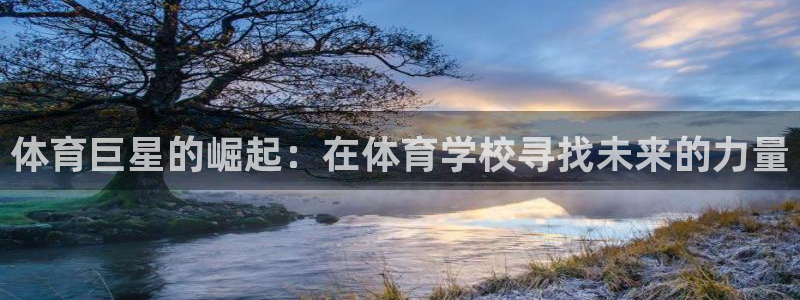 yy易游官方正版app科技