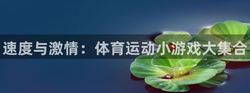 yy易游官网下载官方客服电话：速度与激情：体育运动小游戏大集