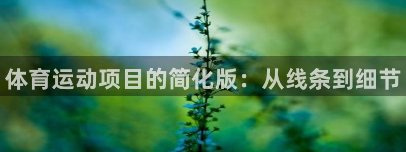yy易游官网下载招商电话是多少啊：体育运动项目的简化版：从线