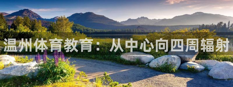 yy易游官方正版app开户