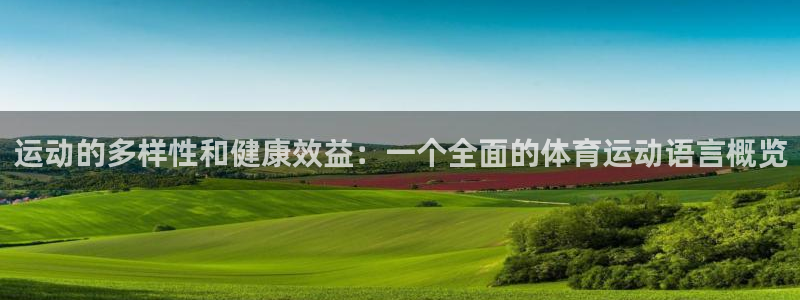 yy易游官方正版app集团简介