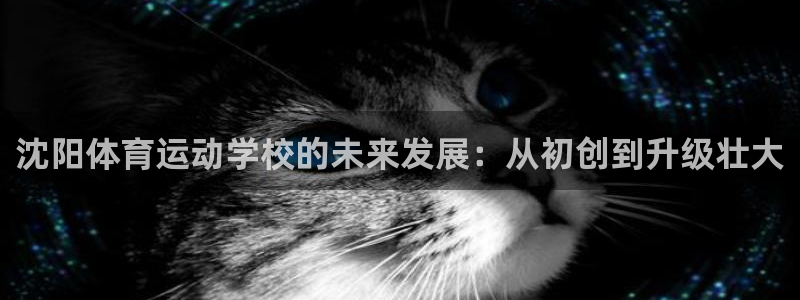yy易游官网下载平台：沈阳体育运动学校的未来发展：从