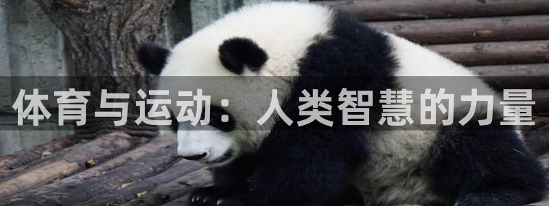 yy易游官网下载平台注册流程视频：体育与运动：人类智