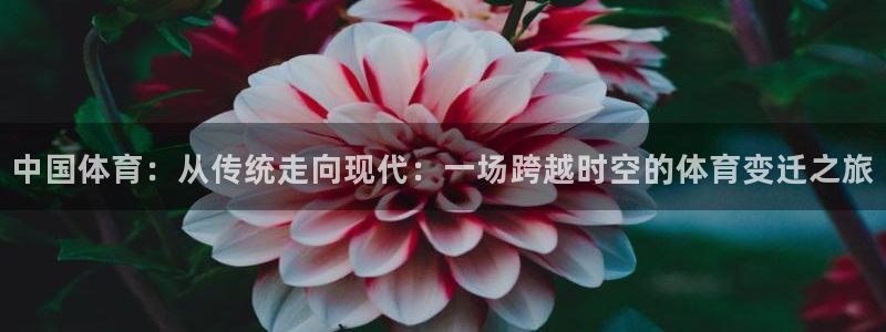 yy易游官方正版app娱乐