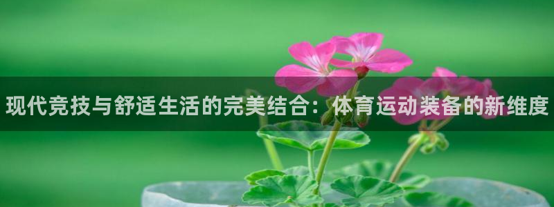 yy易游官网下载平台假的吗是真的吗：现代竞技与舒适生活的完美