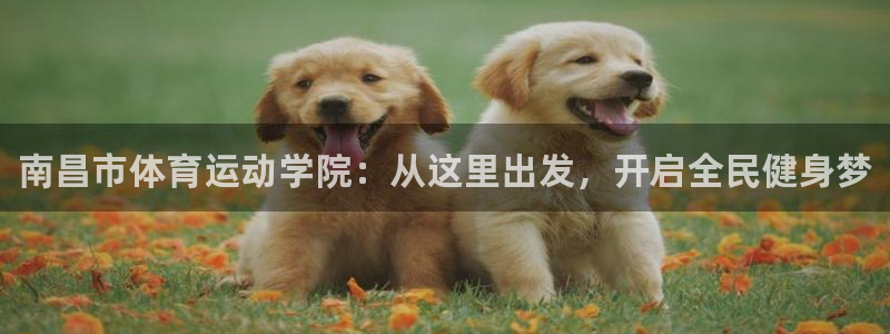 yy易游官网下载：南昌市体育运动学院：从这里出发，开启全民健