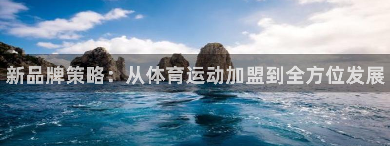 yy易游官方正版app娱乐40996：新品牌策略：从体育运动