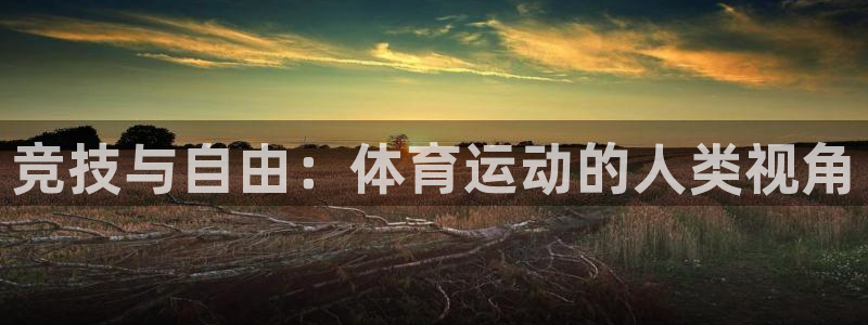yy易游官方正版app娱乐40996：竞技与自由：体育运动的