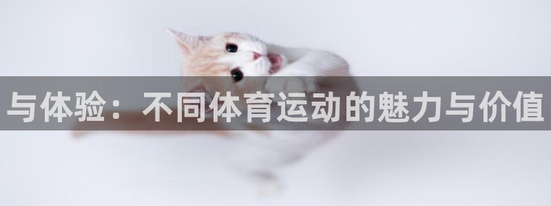 yy易游官网下载是干嘛的公司：与体验：不同体育运动的