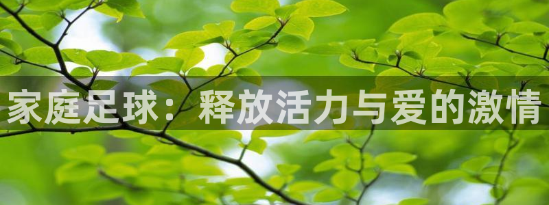 yy易游官网下载招商电话地址