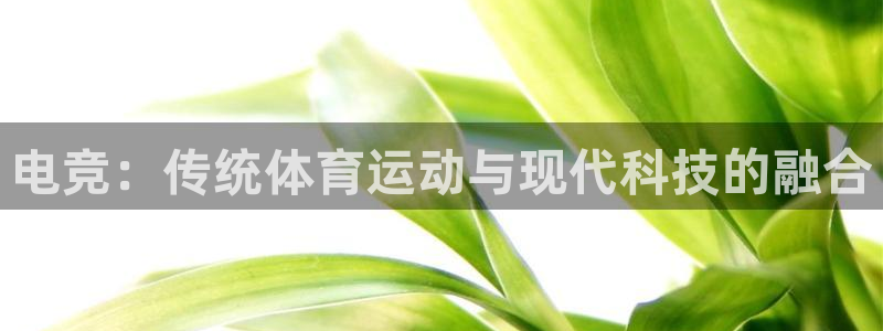 yy易游体育是正规的吗安全吗：电竞：