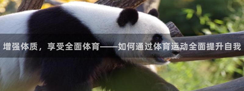 yy易游体育电竞登录不上去：增强体质