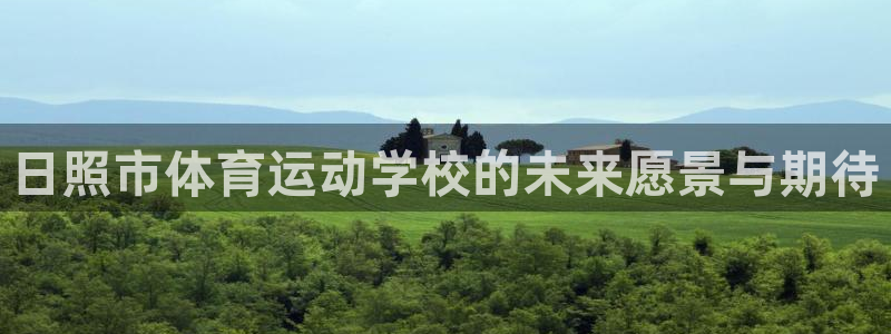 yy易游体育还能撑几年