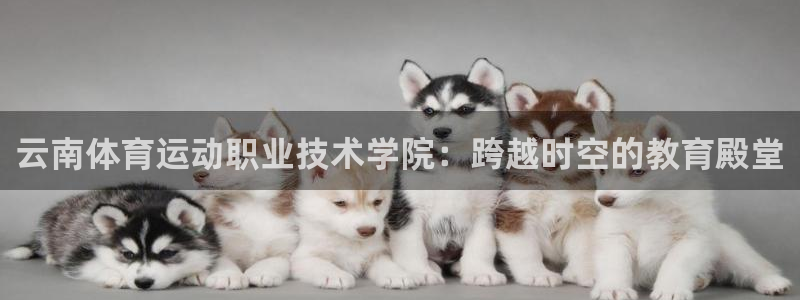 yy易游体育app最新版本更新内容是什么