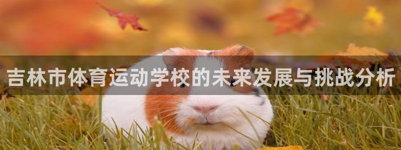 yy易游体育电竞